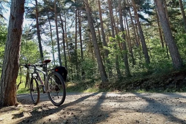 Voyage à vélo au coeur de la forêt